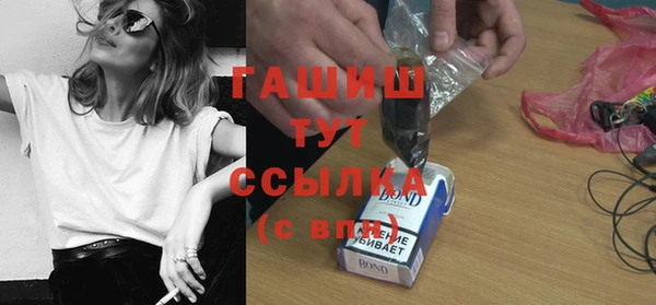 прущие грибы Гусиноозёрск