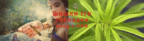 дмт Гусь-Хрустальный