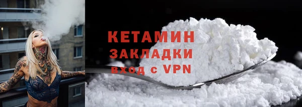 прущие грибы Гусиноозёрск