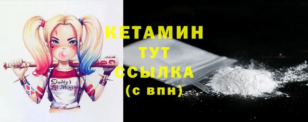 прущие грибы Гусиноозёрск