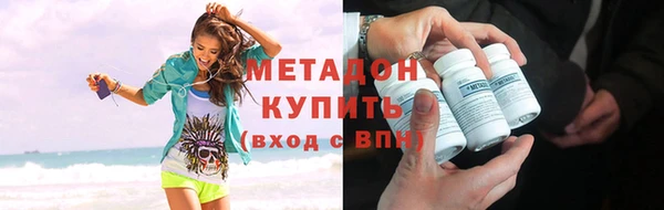 прущие грибы Гусиноозёрск