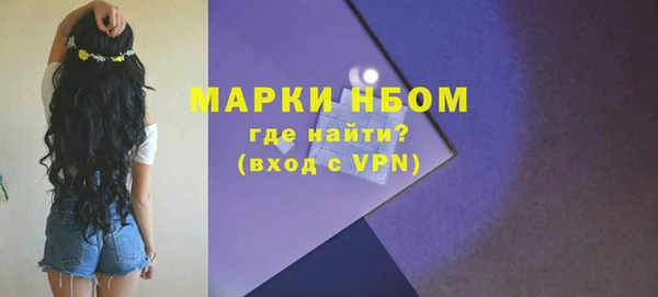 прущие грибы Гусиноозёрск