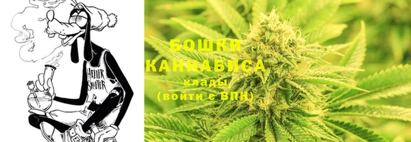 дмт Гусь-Хрустальный