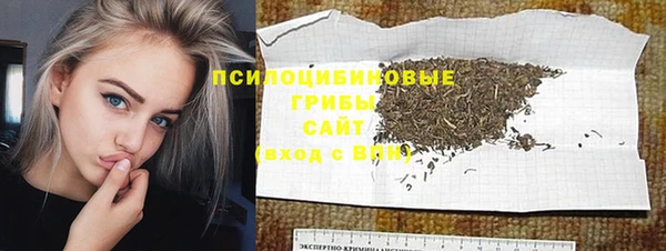 дмт Гусь-Хрустальный