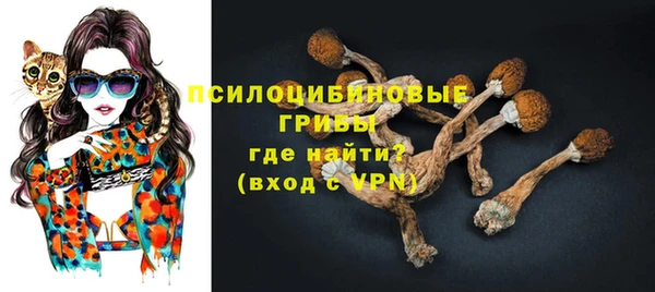 дмт Гусь-Хрустальный